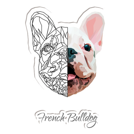 French bulldog Funny domestic animal. Vector illustration.のイラスト素材