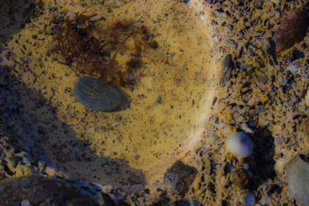 Beach cliffs. Stone, shell and sea. Marine background.の写真素材