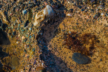 Beach cliffs. Stone, shell and sea. Marine background.の写真素材