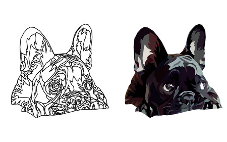 French bulldog Funny domestic animal. Vector illustration.のイラスト素材