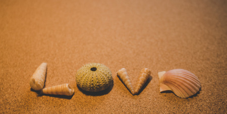 Sees it. The word "love" of sea shells on a brown background.の写真素材