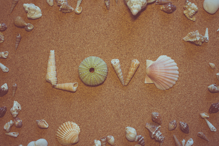 Sees it. The word "love" of sea shells on a brown background.の写真素材