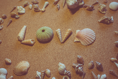 Sees it. The word "love" of sea shells on a brown background.の写真素材