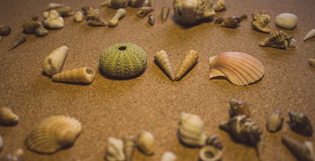 Sees it. The word "love" of sea shells on a brown background.の写真素材