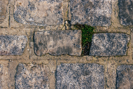 Stone. Stone floor with grass, background. Macro.の写真素材