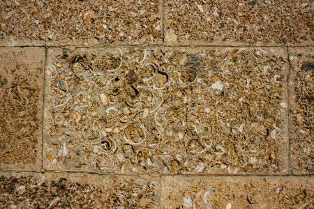 Wall. Traditional wall of Cadiz from seashells and sand.の写真素材