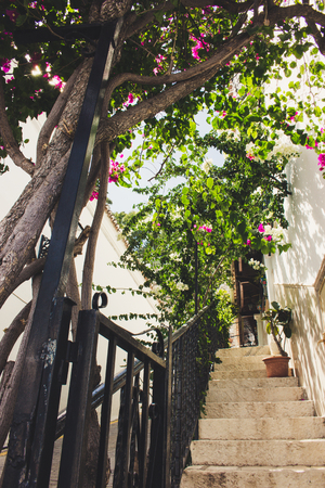 Street. A small street in the city of Mijas. Costa del Sol, Andalusia, Spain.の写真素材