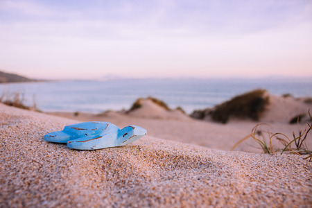 Blue wooden turtle on the beach.