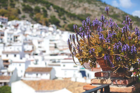 Decoration. Details of the decoration of the city of Mijas.の写真素材