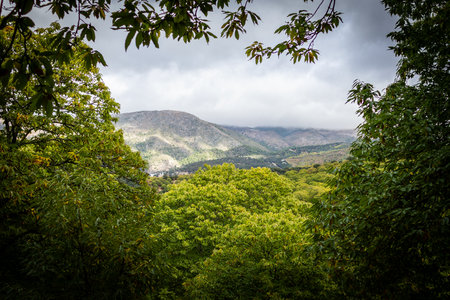 Mountain landscape with green trees and cloudy sky, Crimea, Ukraineの写真素材