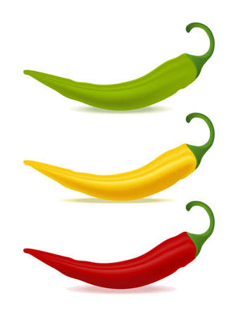 Three bell peppers long red yellow greenのイラスト素材