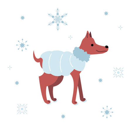 Brown dog in a trendy blue winter down jacket. A puppy in profile is standing or walking in the snow, blue snowflakes are flying around. The pet is smiling and cute. Simple vector illustration in flat style isolated on white background.のイラスト素材