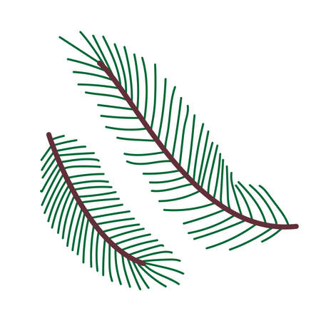 Green Spruce branch. Plant decoration element. Leaner Doodle simple vector illustration isolated on white background.のイラスト素材