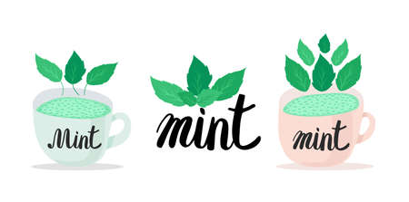Mint set. Branches, wreath, tea isolated on white background. Green herbal tea with mint leaves. Vector herbal illustration in cartoon flat style.のイラスト素材
