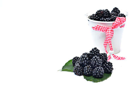 Pile and a bucket of blackberriesの写真素材