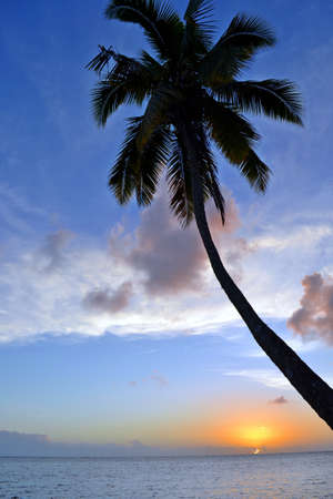 sunset over the beachの写真素材