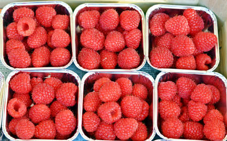 fresh rastberriesの写真素材