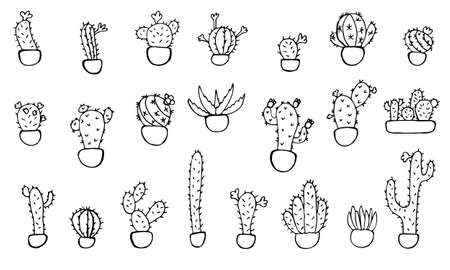 Collection of vector doodle illustrations of Cactuses in pots. Freehand drawings isolated on white background.のイラスト素材