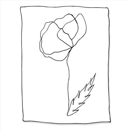Continuous line drawn poppy flower. Floral minimalistic illustration in line art style. Vector illustration isolated on white background.のイラスト素材