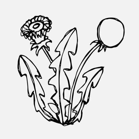 Simple doodle of a dandelion flower bush. Spring season. Vector illustration.のイラスト素材