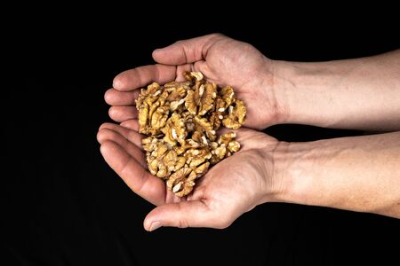 Peeled walnut kernels in male hands on a black background.の写真素材