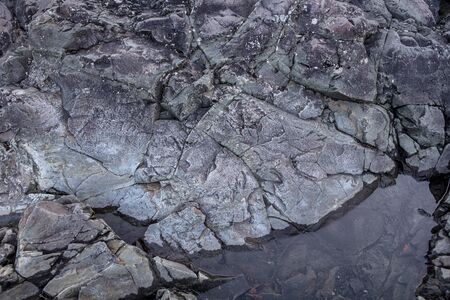 Close texture of the old stone. Gray detailed background