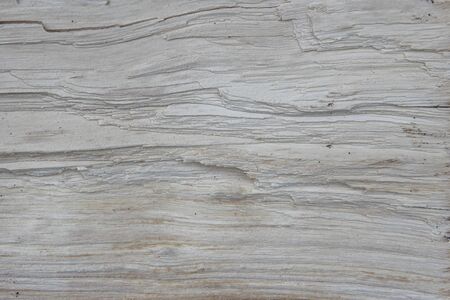 texture and background section of a tree. Wooden Board closeupの写真素材