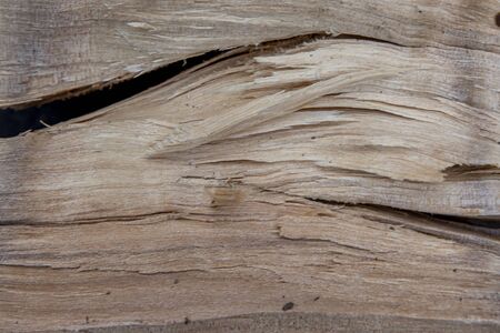 The texture and fibers of the wood close up. Background of wood