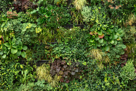 Green wall with plants and flowers in the garden. Nature background.