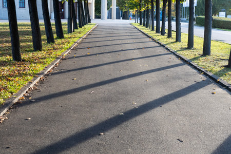 Walkway in the park with a shadow of a tree on the ground