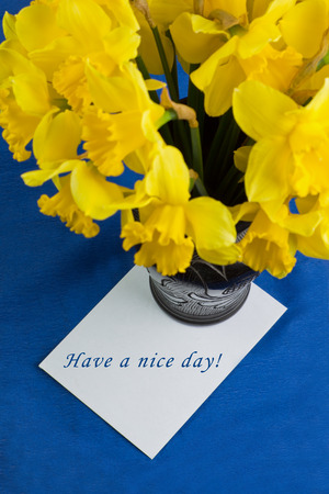 Bucket of narcissus flowers in the black vase and an envelope on blue background with textの写真素材