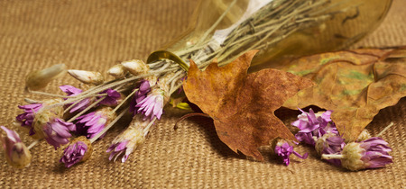 Dry yellow maple leaves and everlasting flowers in the glass bottle on sackcloth backgroundの写真素材