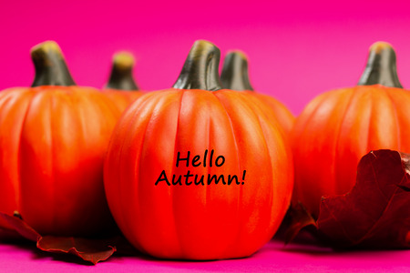 Autumn background. Orange pumpkins with red dried oak leaves on pink background. Text hello autumn.