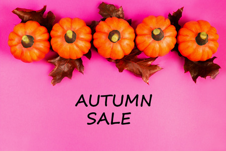 Autumn sale background. Orange pumpkins with red dried oak leaves on pink background. Text autumn sale. View from above.の写真素材