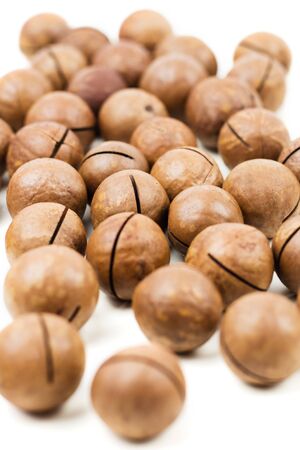 Raw not peeled whole macadamia nuts isolated on white. Healthy food. Protein source. View from above with copy space for text.の写真素材