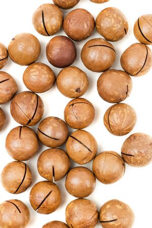 Raw not peeled whole macadamia nuts isolated on white. Macro view. Healthy food. Protein source. Flat lay. View from above.の写真素材