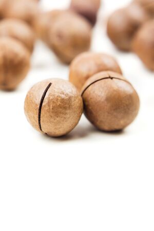 Raw not peeled whole macadamia nuts isolated on white. Macro view. Healthy food. Protein source. Copy space for text.の写真素材