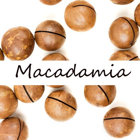 Raw not peeled whole macadamia nuts isolated on white. Macro view. Healthy food. Protein source. Flat lay. View from above with text Macadamia.の写真素材