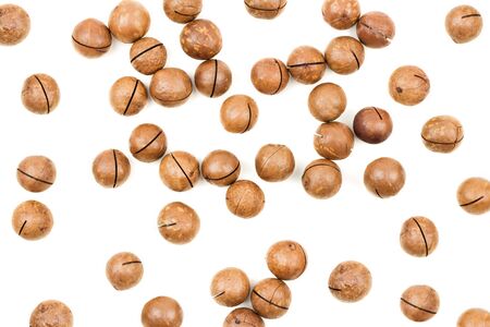 Raw not peeled whole macadamia nuts isolated on white. Healthy food. Protein source. Flat lay. View from above.の写真素材