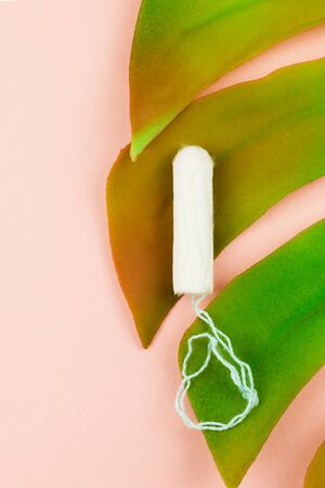 Menstruation cotton tampon on pink background and green tropical leaf with copy space for text. Feminine hygiene product, View from above.の写真素材