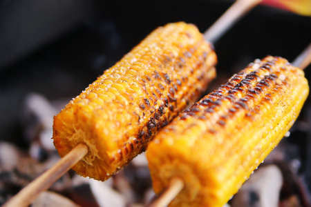 corn on the cob on a wooden stick roasted on a fireの写真素材