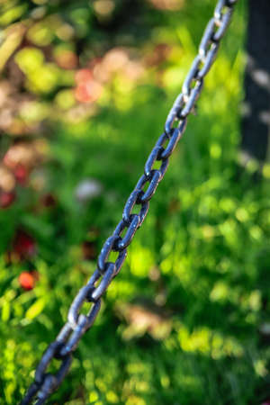 black iron chain links hanging on a background of green grassの写真素材