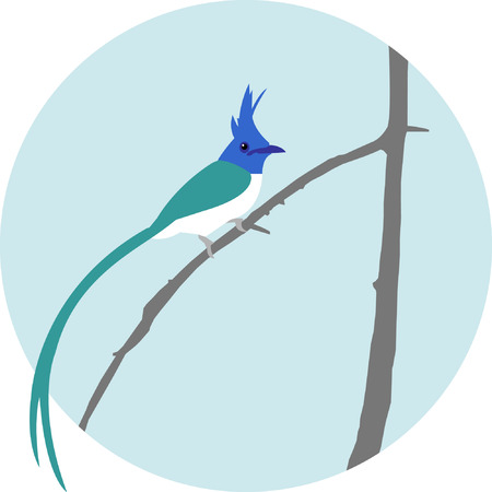 Spring bird sitting on a branchのイラスト素材