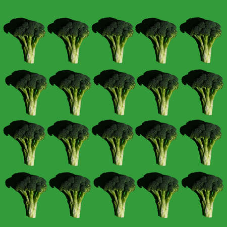 Broccoli pattern on a solid green background. Healthy diet. Colorful and fresh food. Broccoli cabbage. Photographed in harsh light so it has heavy, dark and sharp shadows. Top view. Flat lay.の写真素材