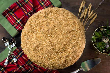 Sweet layered cake with custard and sprinkled with sponge cake crumbs.の写真素材