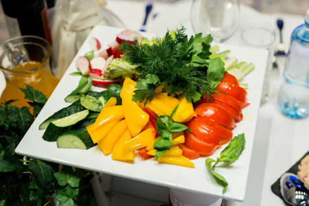 Sliced fresh vegetables. Celery, tomatoes, yellow peppers, cucumber, radishes, dill.の写真素材
