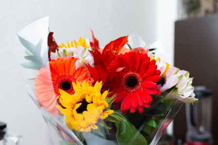 Colorful bouquet of gerberas and sunflowers in a transparent film for bouquetsの写真素材