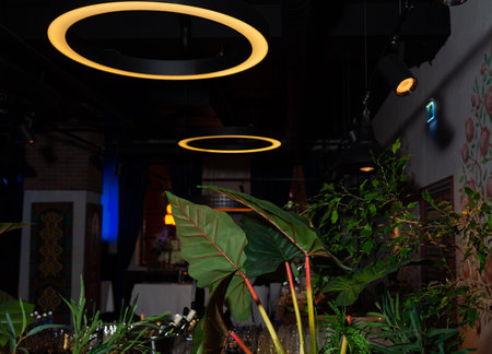 Interior with glowing circular ceiling lights and lush tropical plants, blending contemporary...