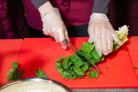 A person wearing gloves cuts fresh romaine lettuce on a red cutting board, preparing ingredients for a healthy salad or dish.の写真素材