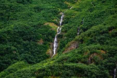 Serene forest waterfall amidst lush greenery in a tranquil landscape.